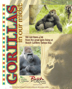 Gorillas in our midst