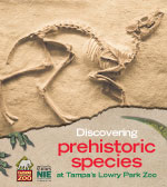 Discovering Prehistoric Species