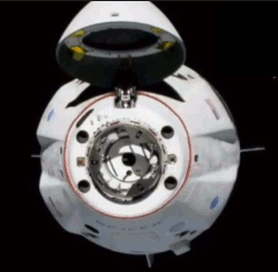 ▻SpaceX Crew Capsule Successfully Docks At International Space Station